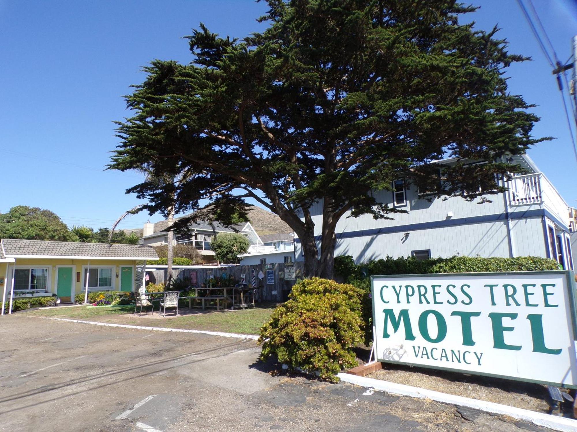 Cypress Tree Motel Cayucos Zewnętrze zdjęcie